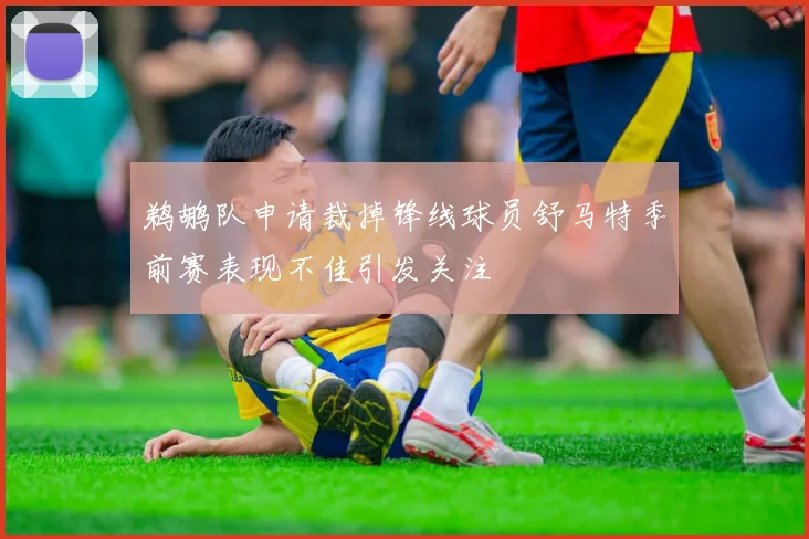 鹈鹕队申请裁掉锋线球员舒马特季前赛表现不佳引发关注