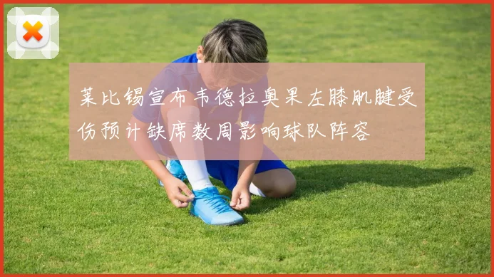 莱比锡宣布韦德拉奥果左膝肌腱受伤预计缺席数周影响球队阵容